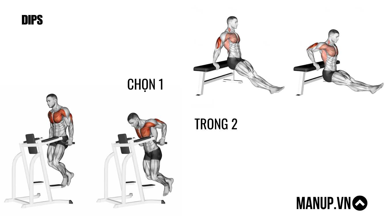 DIPS