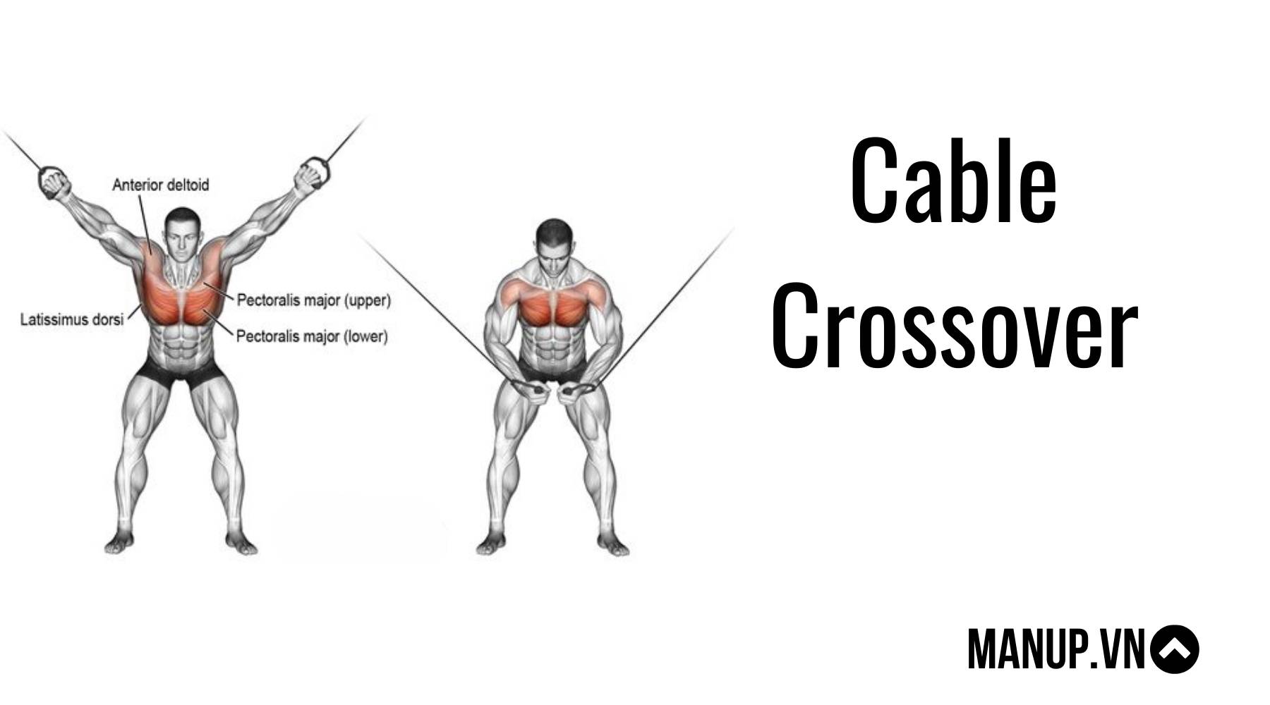 Bài tập kéo cáp ép cơ ngực Cable Crossover