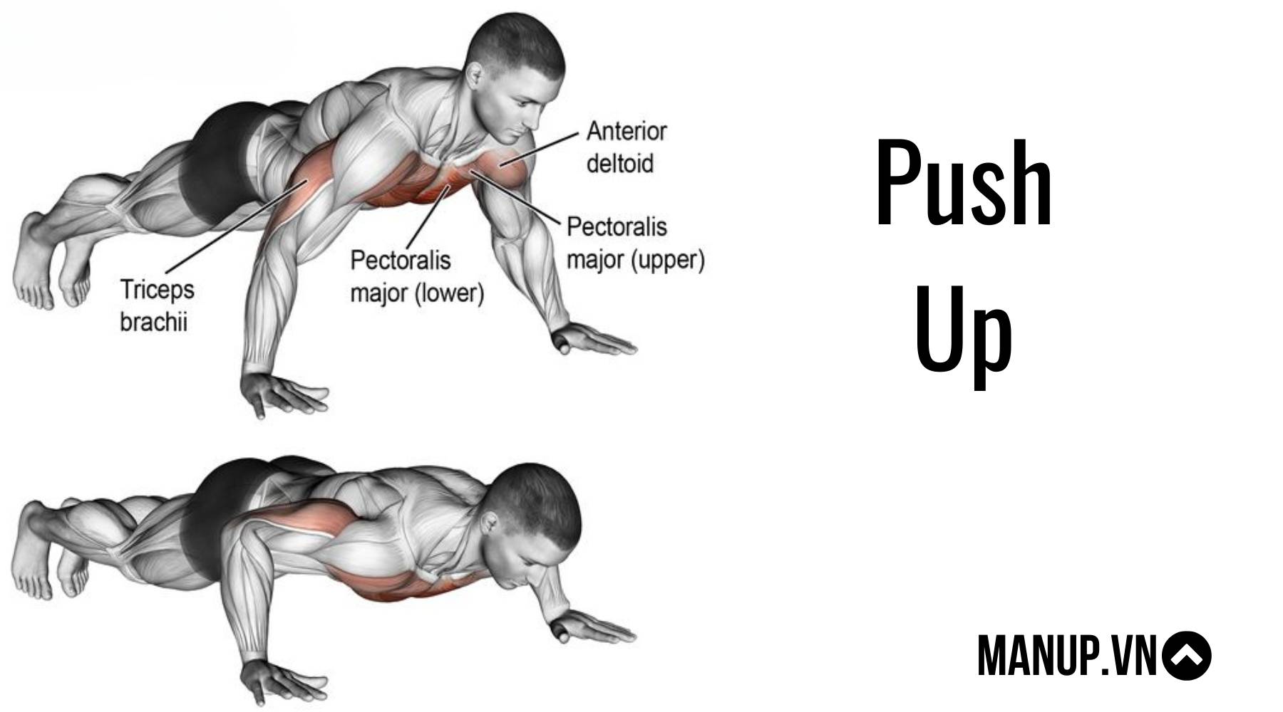 Push-Up
