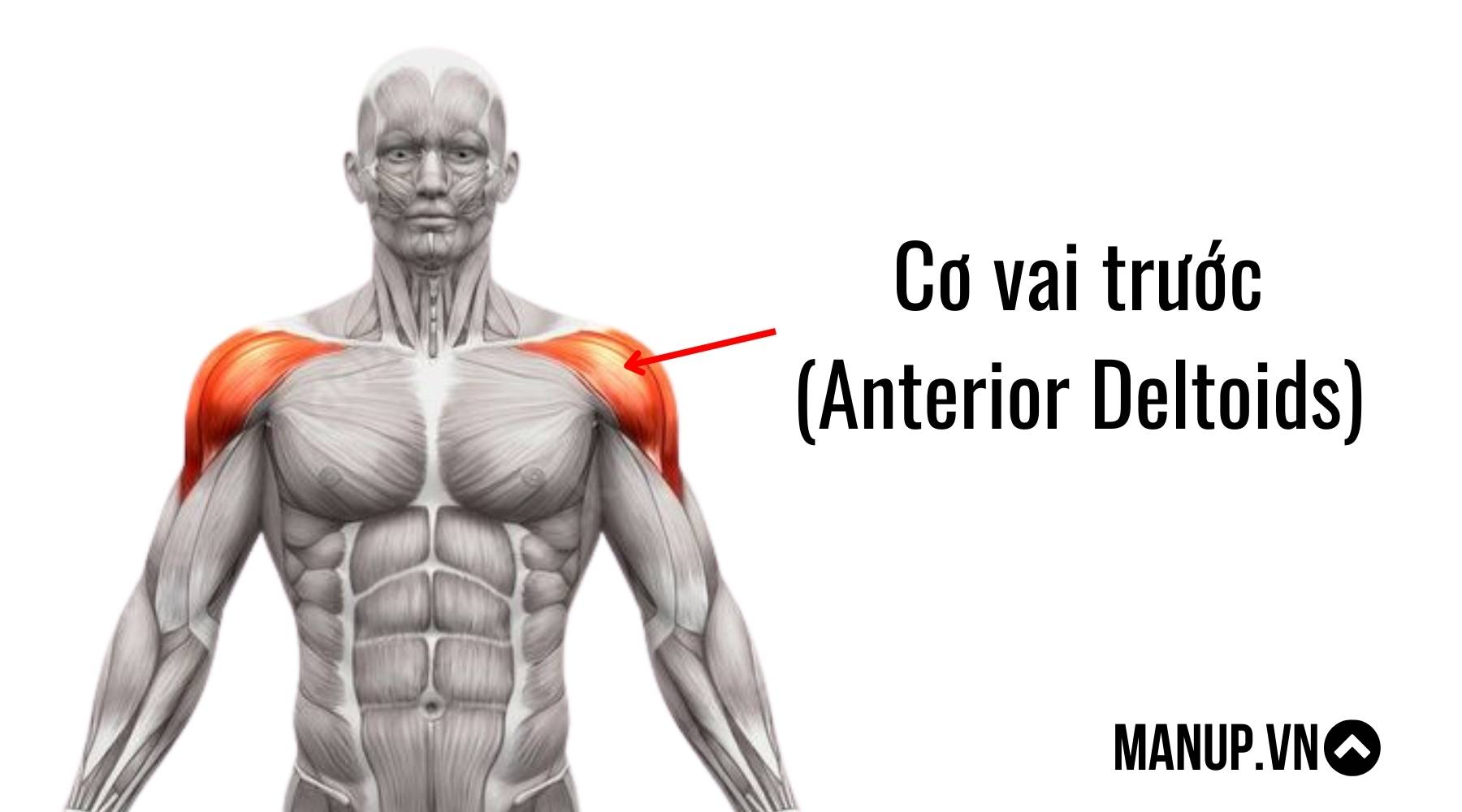 Bài tập ép ngực