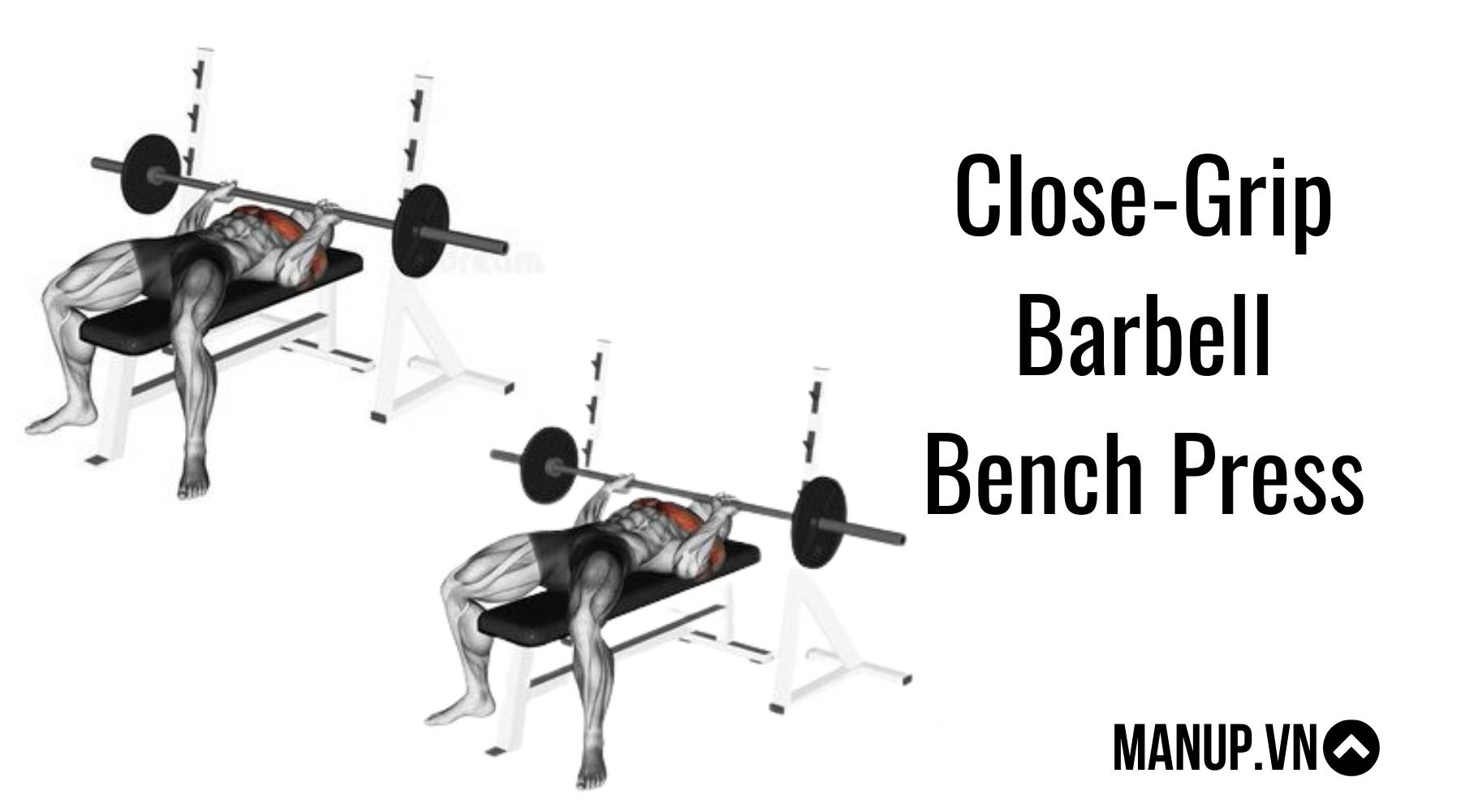 Bài tập ép cơ ngực Close-Grip Barbell Bench Press