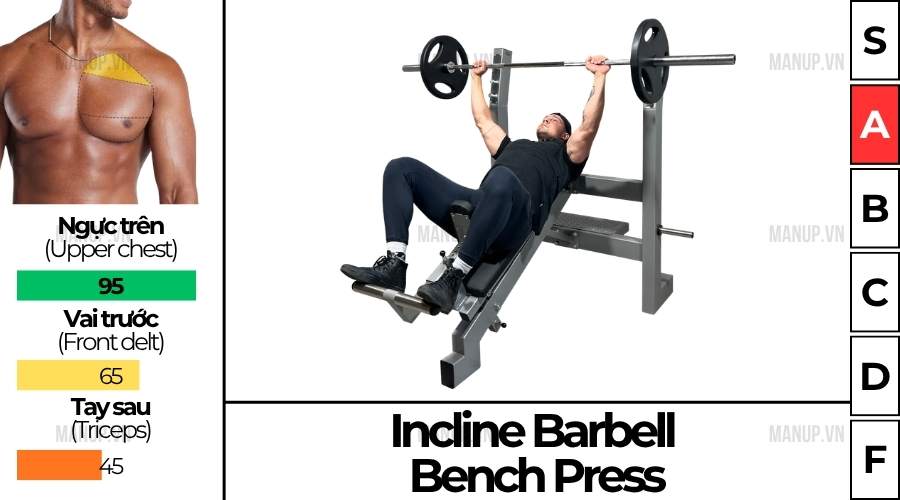 bài tập gym Incline Barbell Bench Press