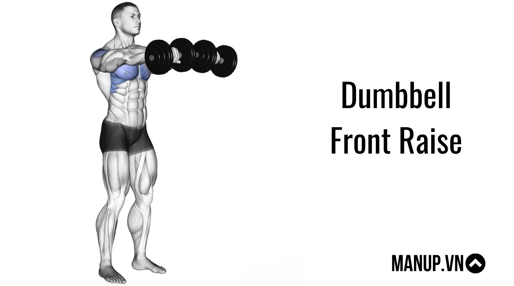 Dumbbell Front Raise
