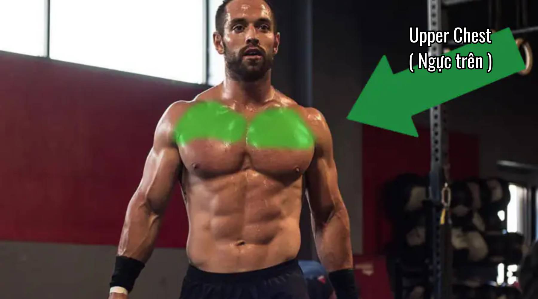 Bài tập ngực trên cho nam