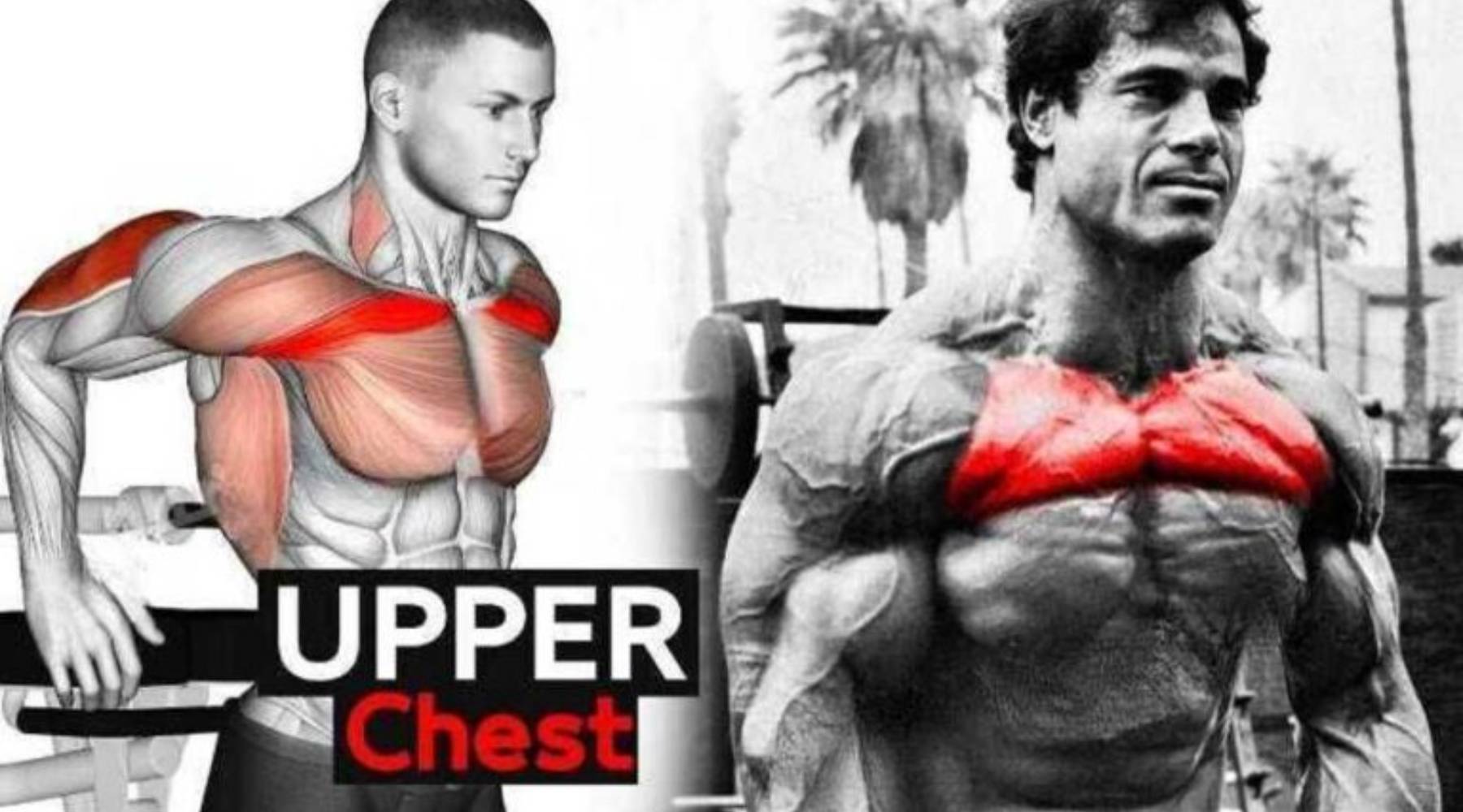 Bài tập ngực trên cho nam