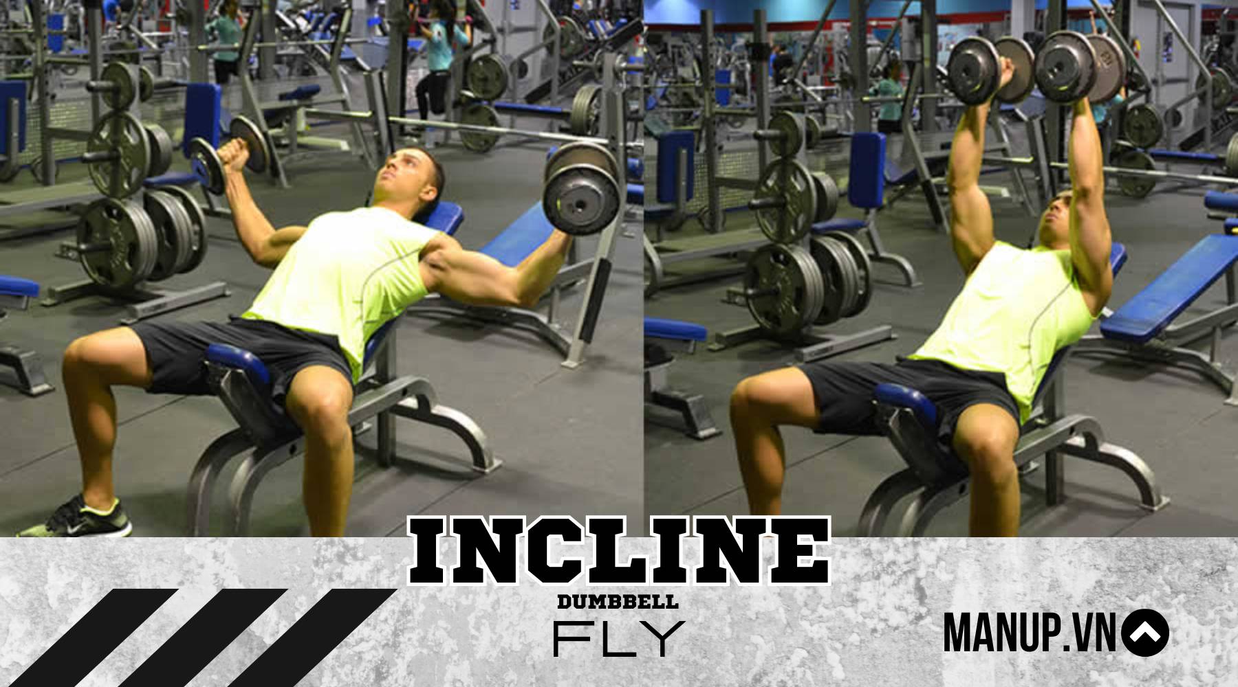 Incline Dumbbell Fly