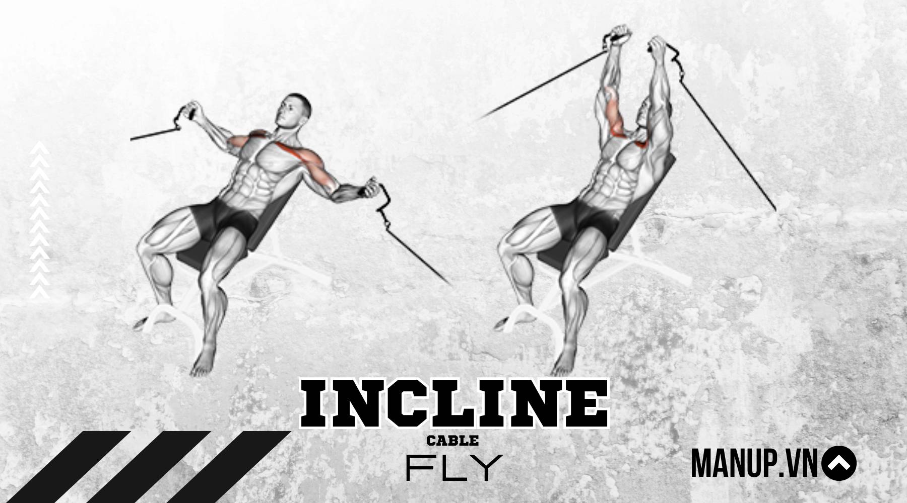 Incline Cable Fly