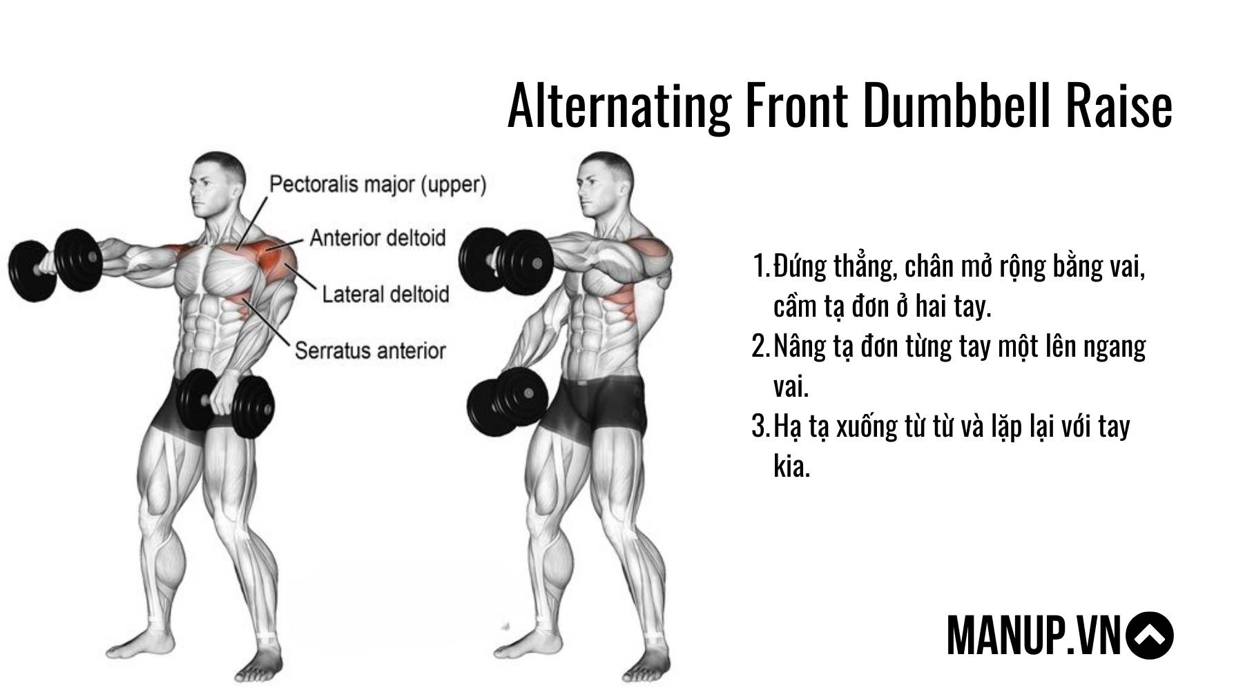 Alternating Front Dumbbell Raise