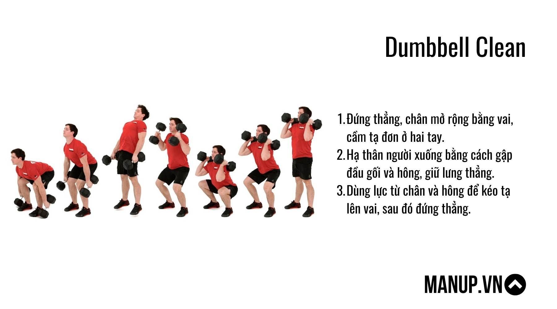 Dumbbell Clean