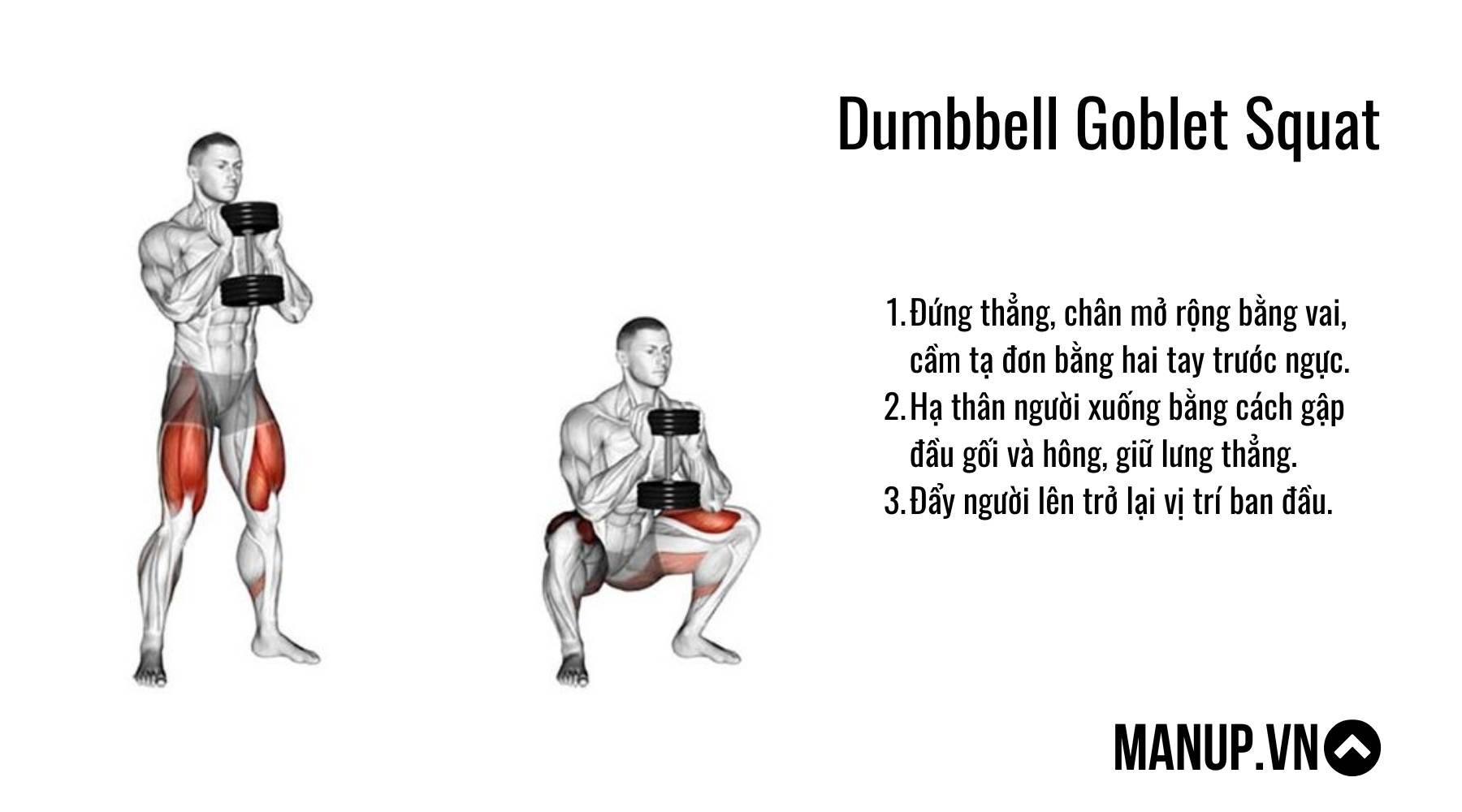 Dumbbell Goblet Squat