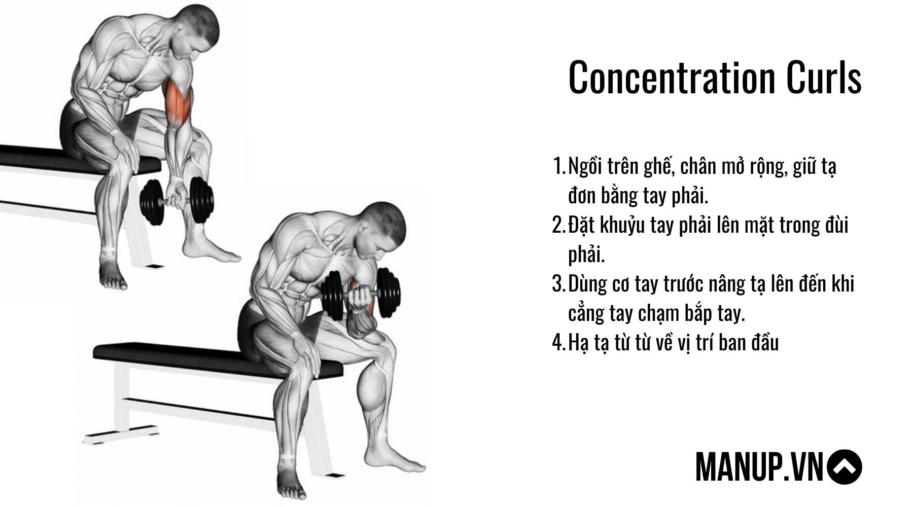 bài tập với tạ đơn