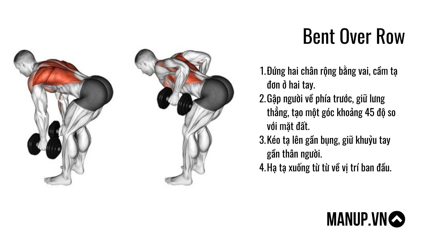 bài tập với tạ đơn