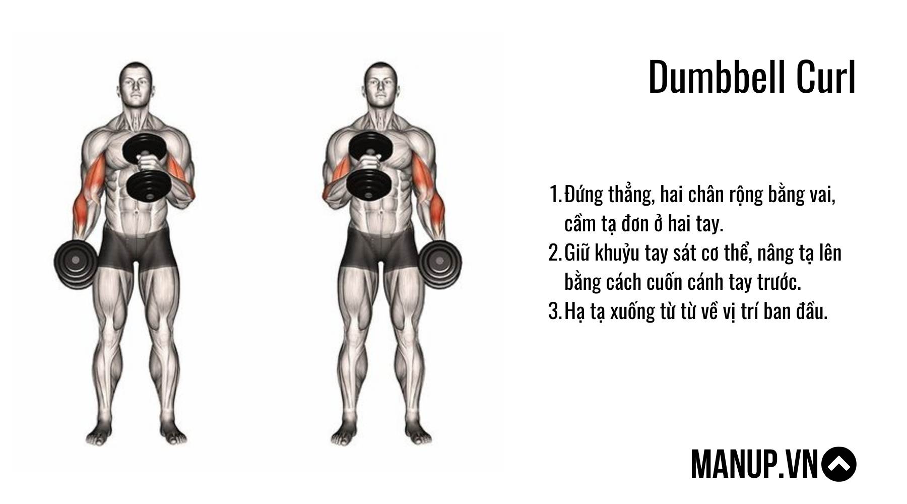 bài tập với tạ đơn