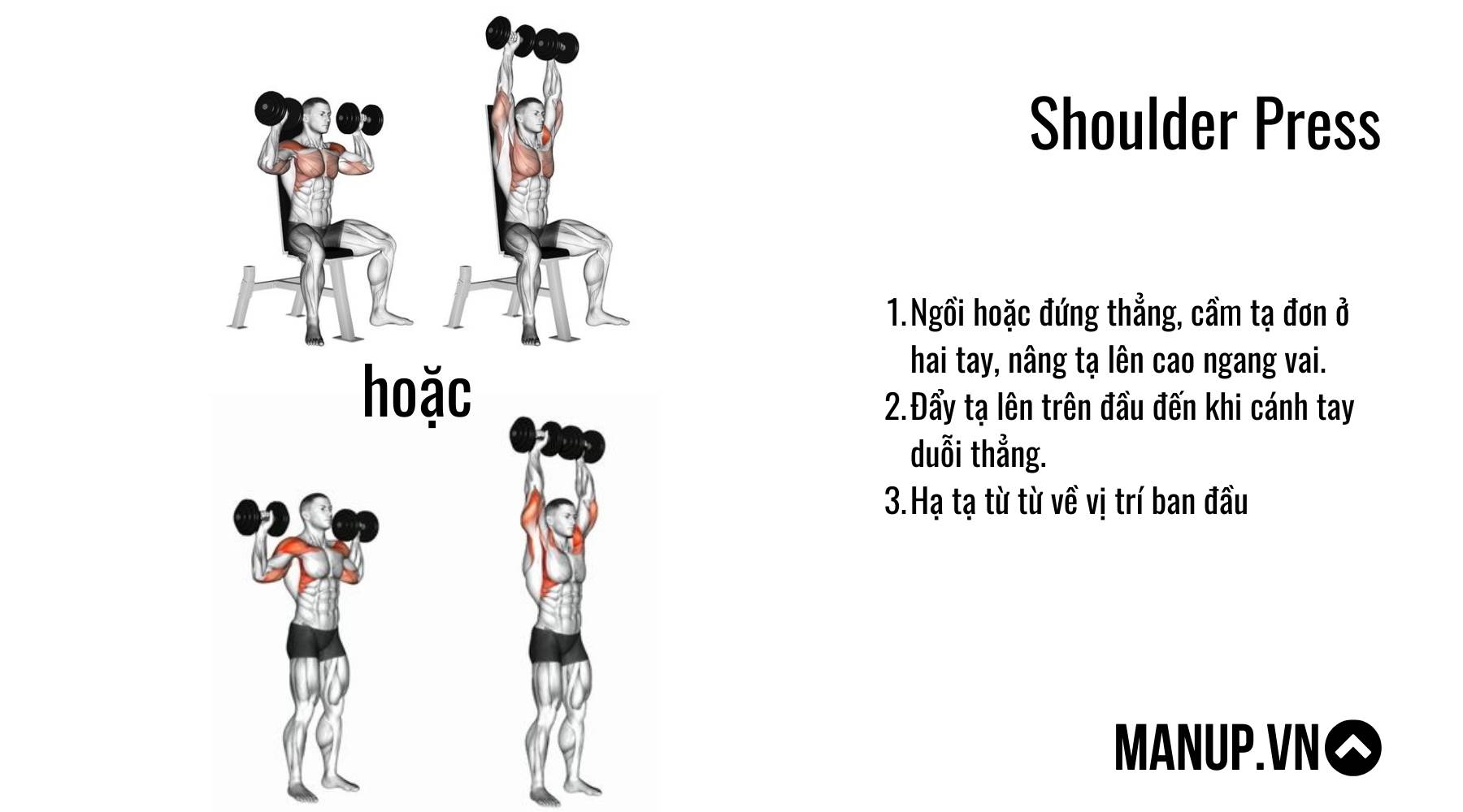 bài tập với tạ đơn