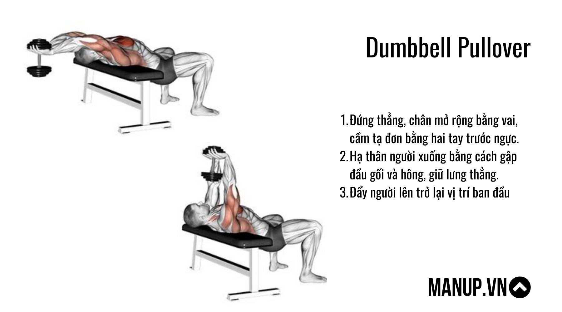 bài tập với tạ đơn