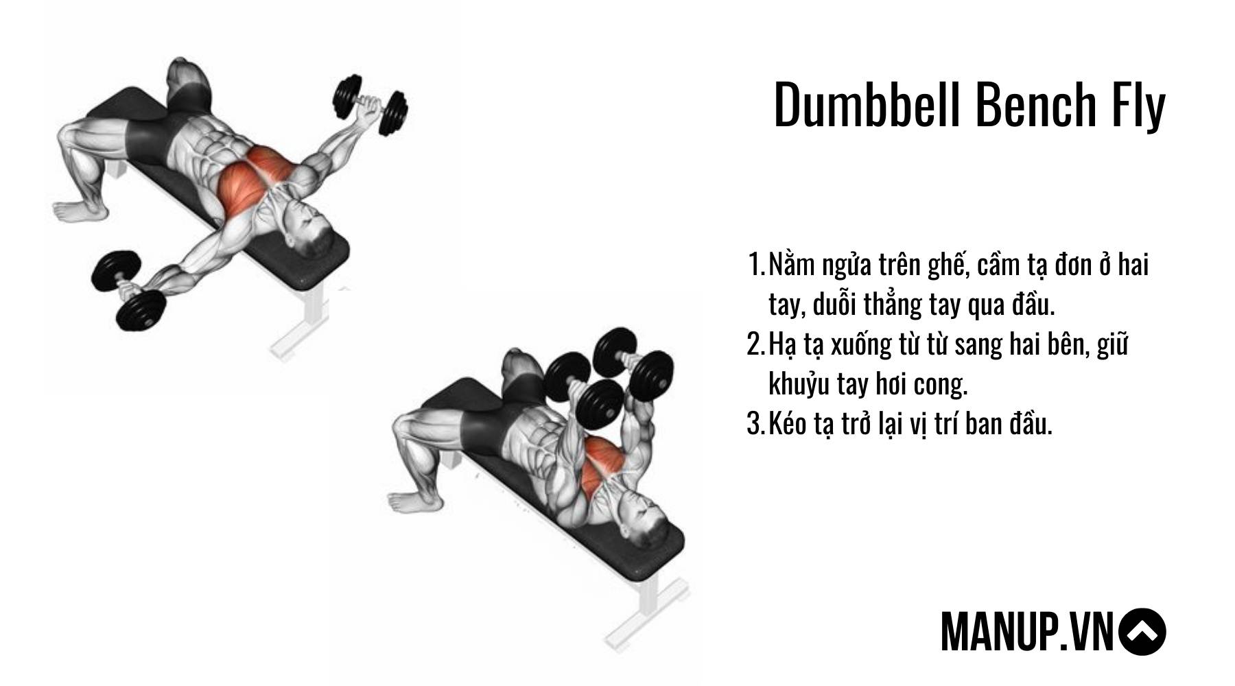 Dumbbell Goblet Squat