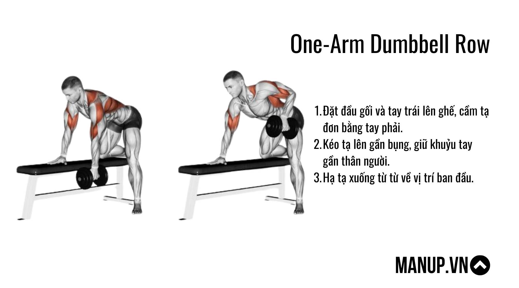 One-Arm Dumbbell Row