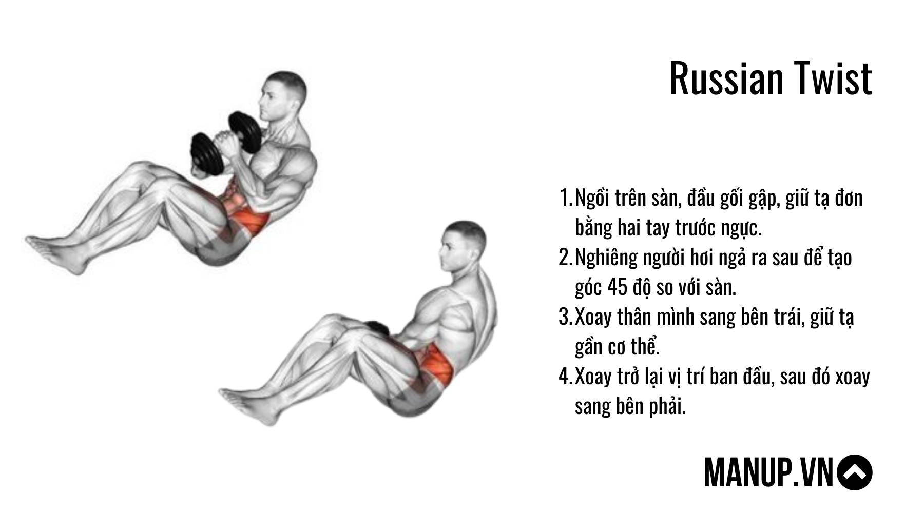 Russian Twist Dumbbell