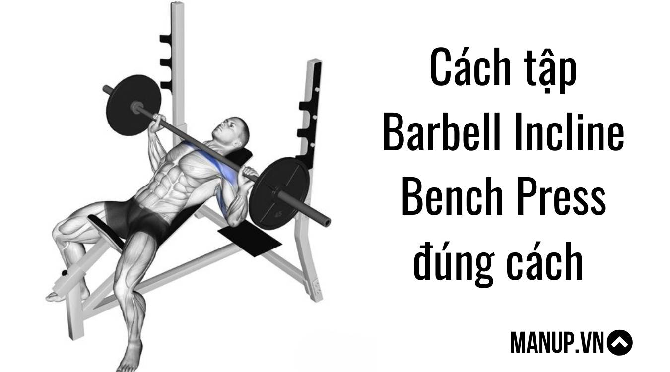Cách tập ngực trên Barbell Incline Bench Press