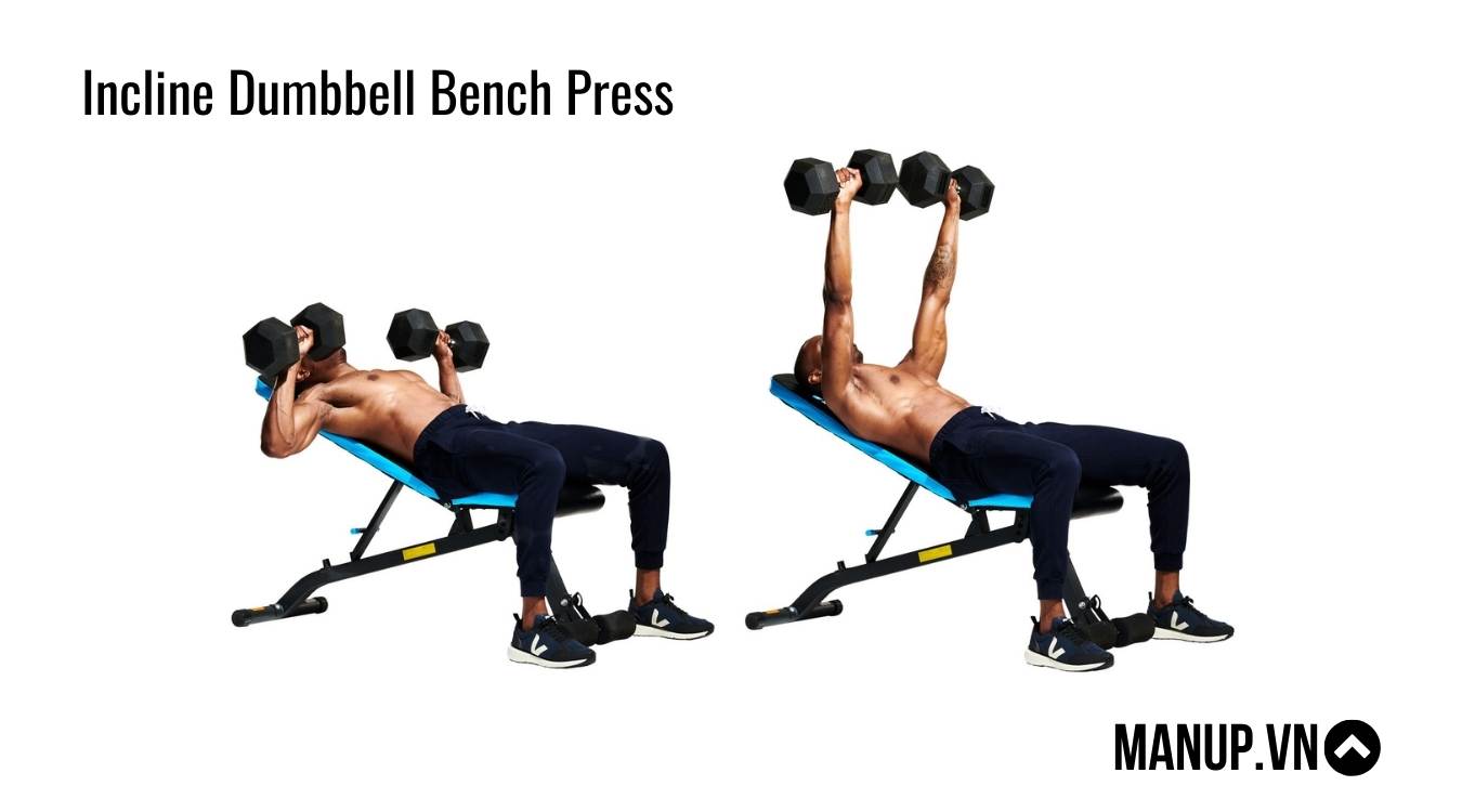 Incline Dumbbell Bench Press