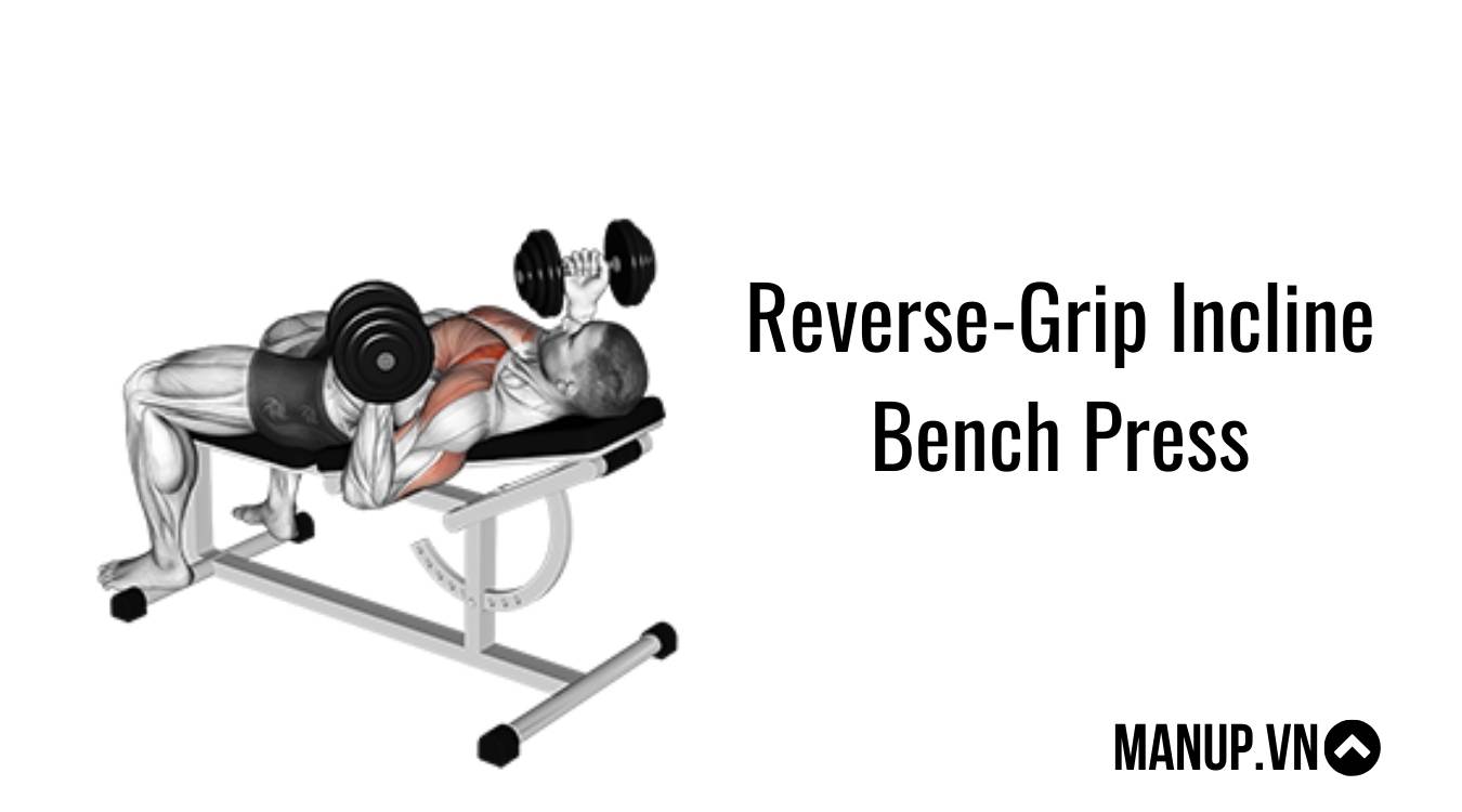 Reverse-Grip Incline Bench Press