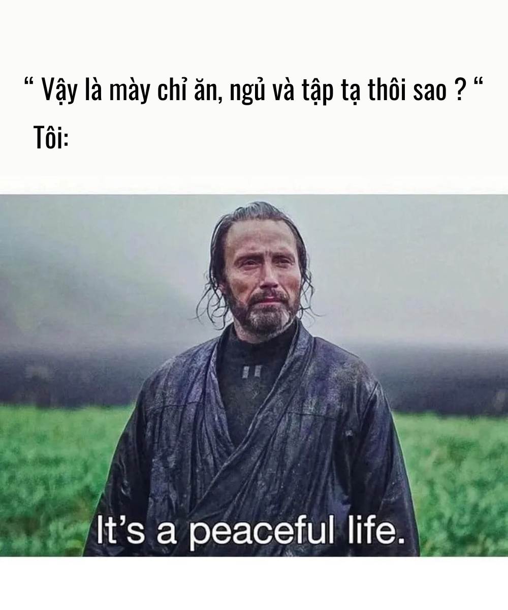 ăn uống ngủ nghỉ