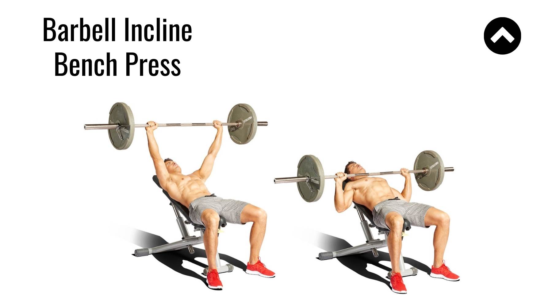 Các bài tập ngực cho người mới