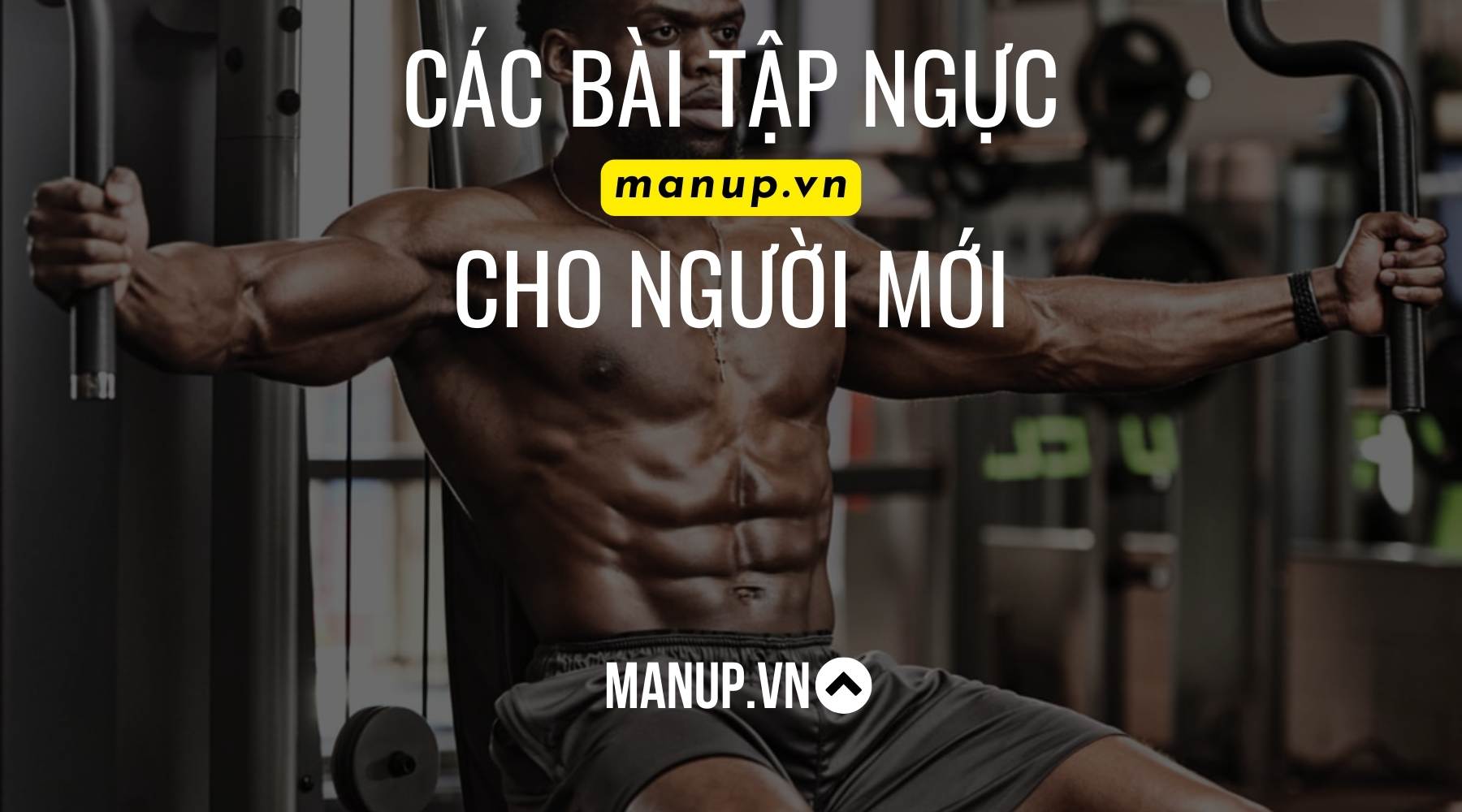 Các bài tập ngực cho người mới