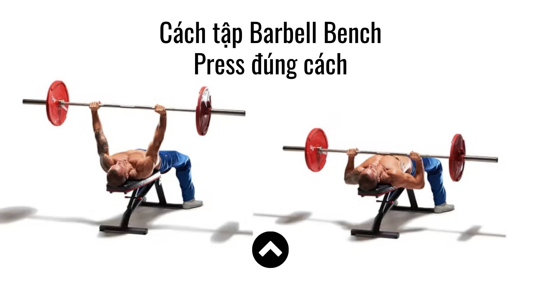Bài tập gym ngực vai tay sau