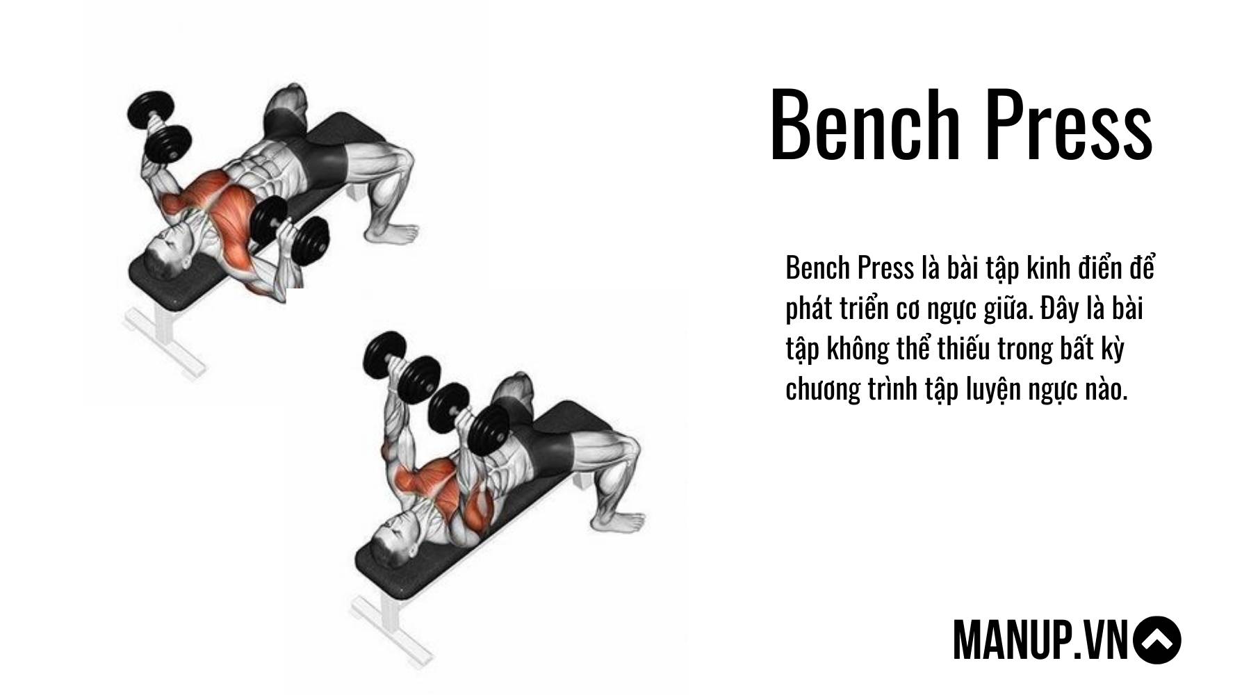 Bench Press