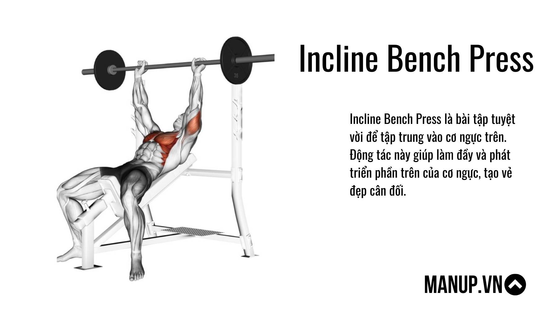 Incline Bench Press