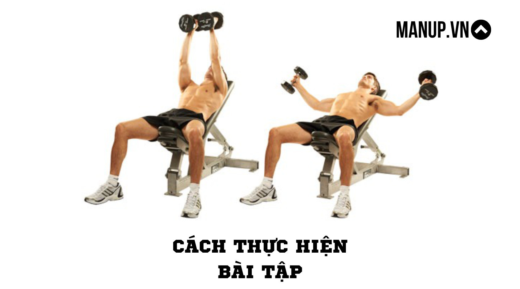 Incline Dumbbell Flyes