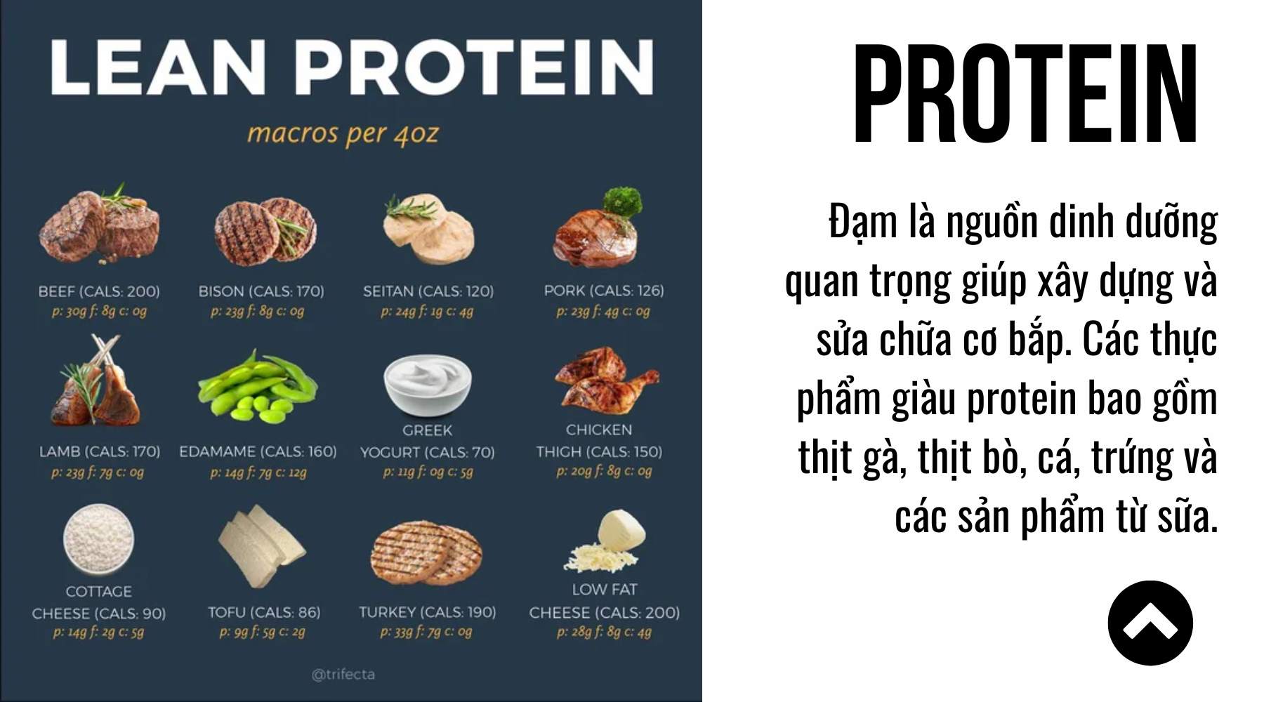 Protein