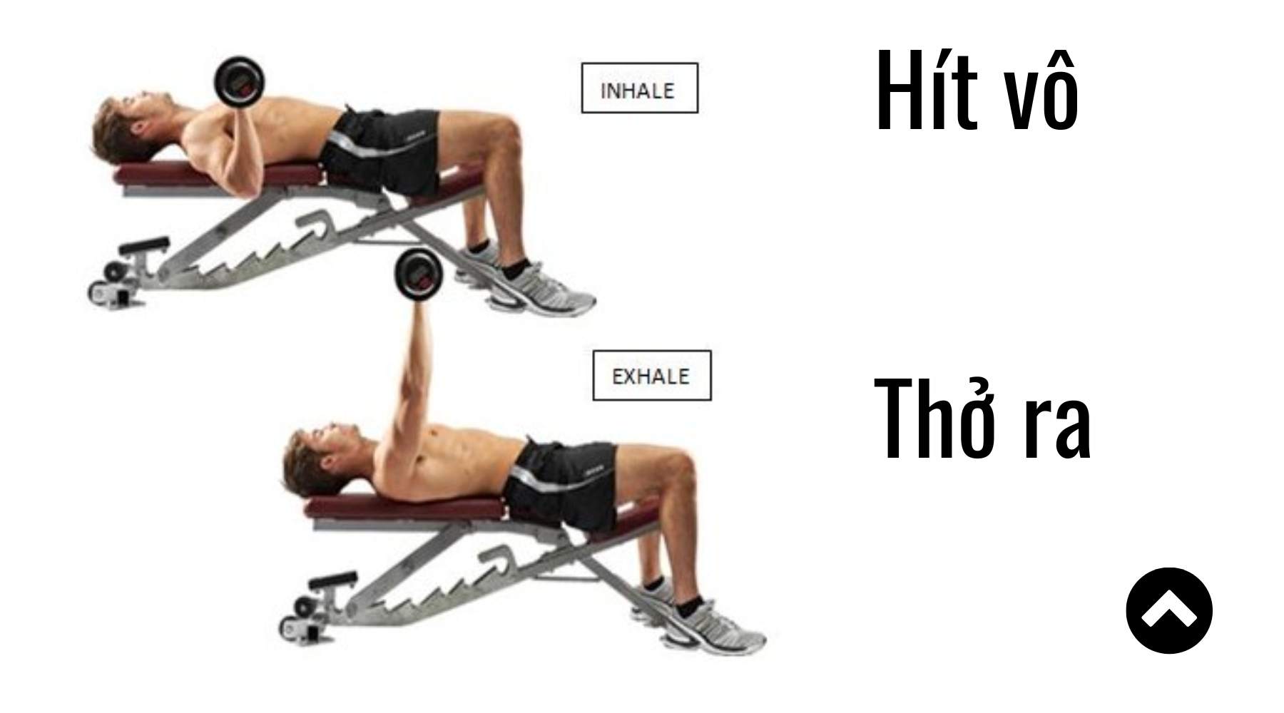 Nguyên tắc quan trọng khi tập cơ ngực cho nam