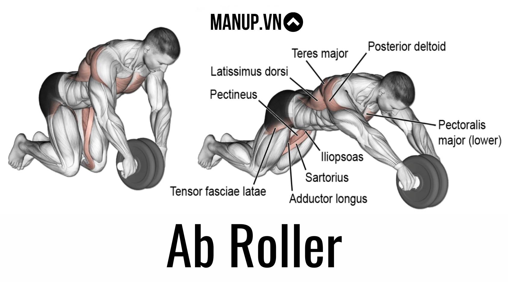 Lăn bánh xe ( Ab Roller)