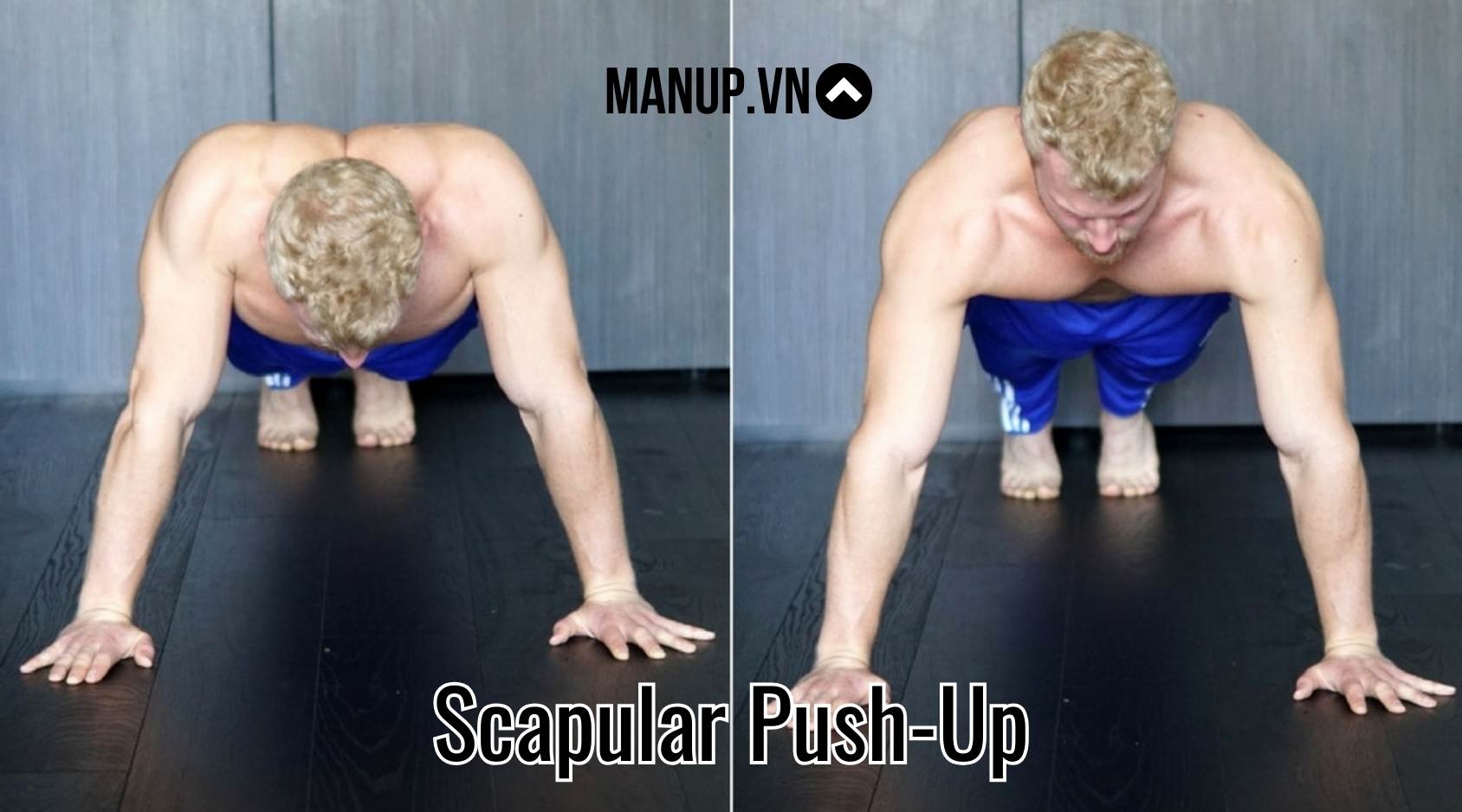 Scapular Push-Up