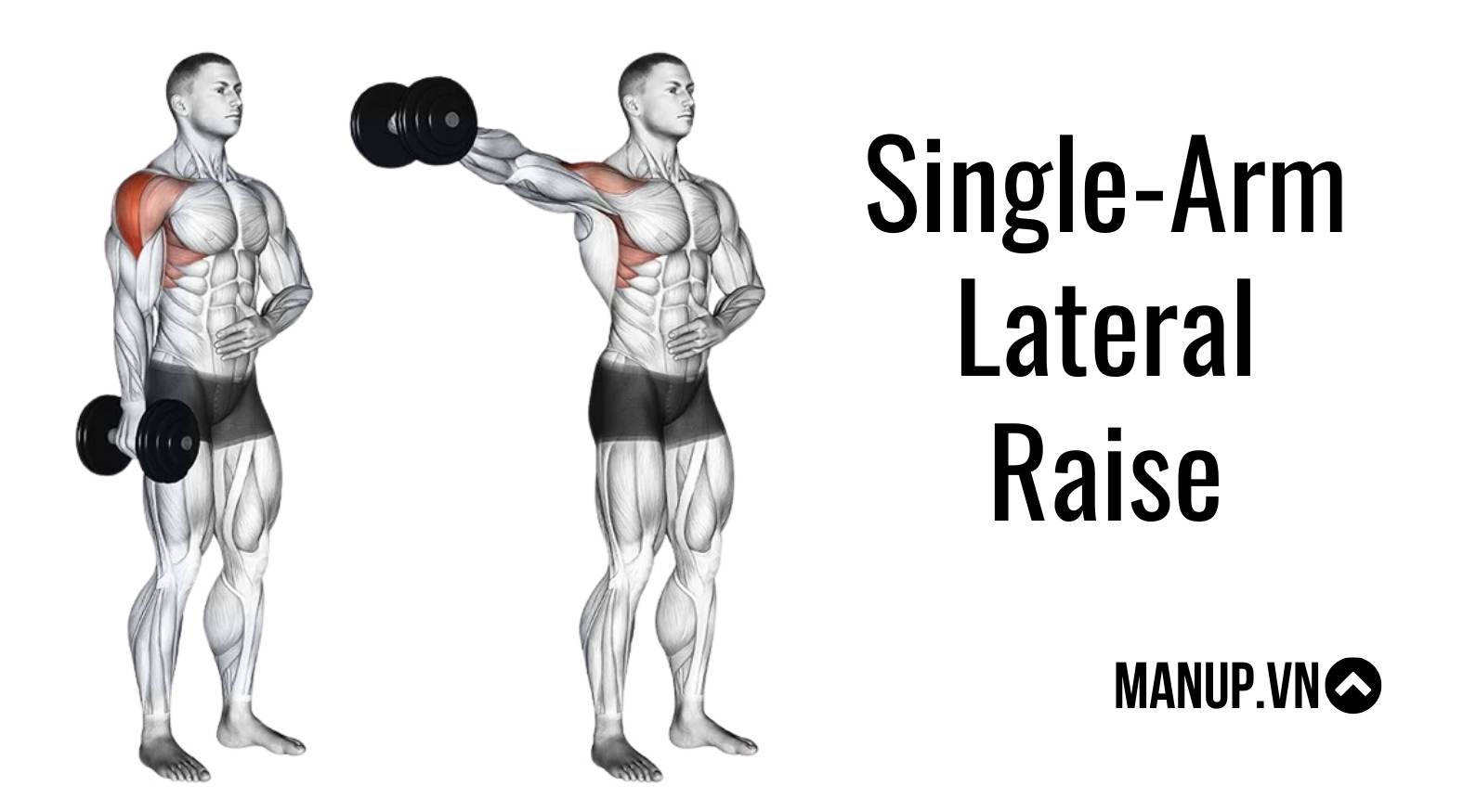 Single-Arm Lateral Raise ( Vai giữa )