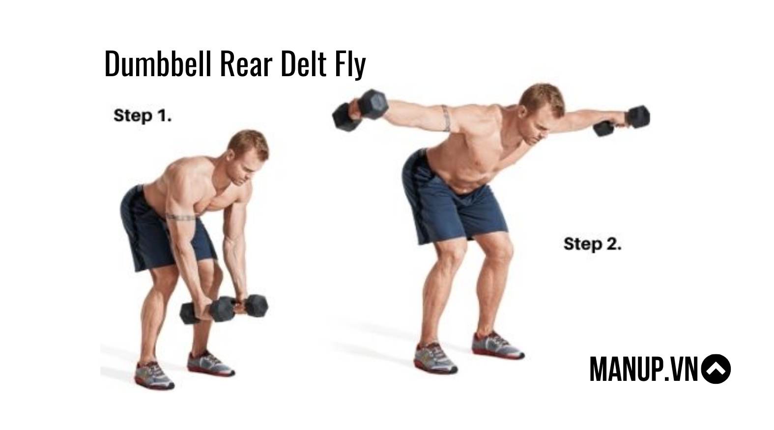 Dumbbell Rear Delt Fly ( vai sau )