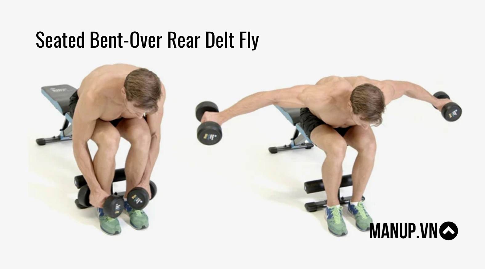 Seated Bent-Over Rear Delt Fly ( Vai sau )