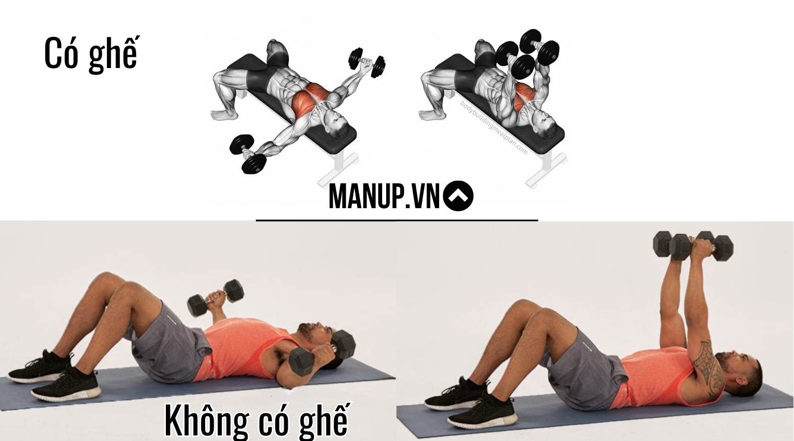 Dumbbell Flyes (Ngực )