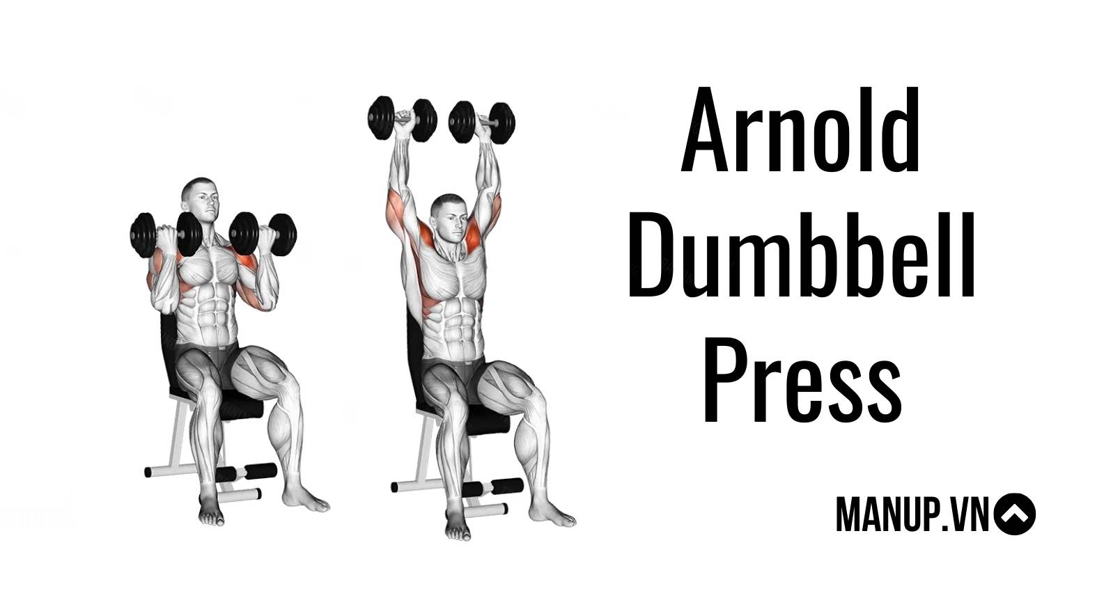 Arnold Dumbbell Press (Vai trước )