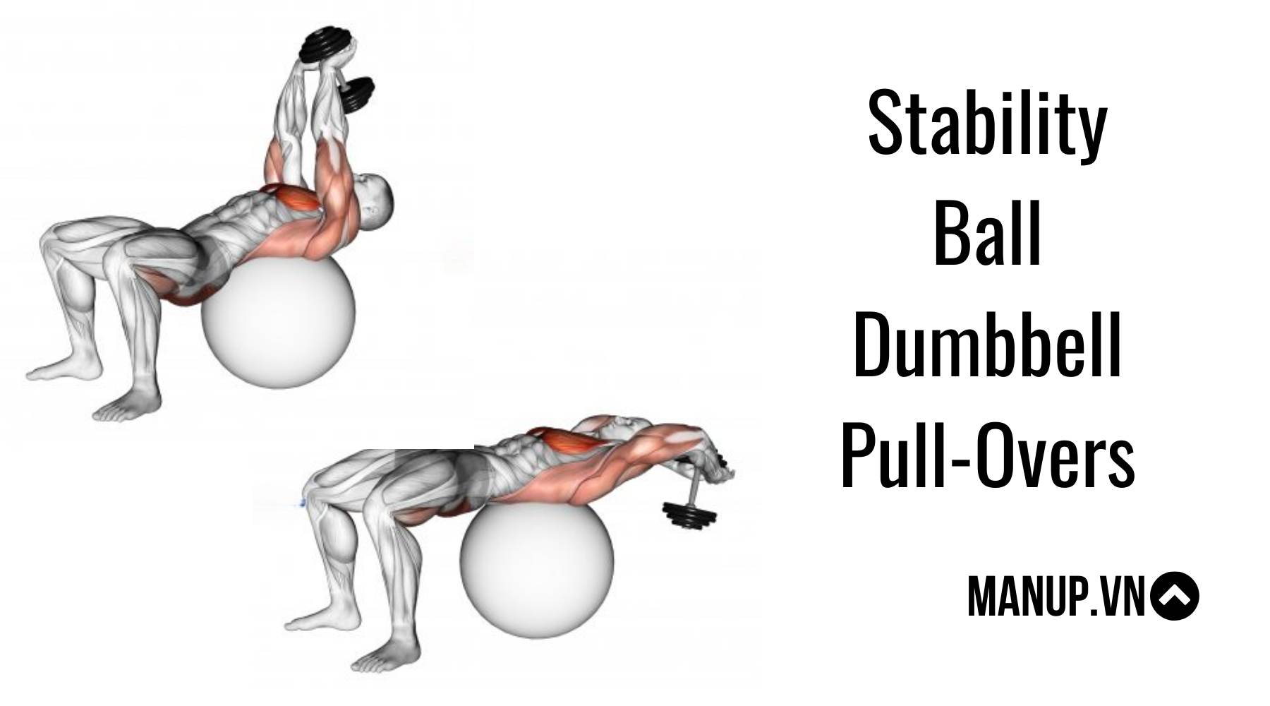Stability Ball Dumbbell Pull-Overs