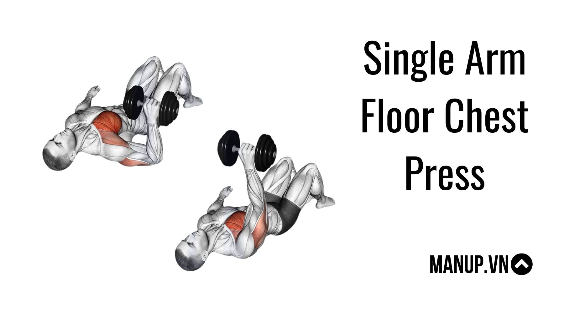 Single Arm Floor Chest Press