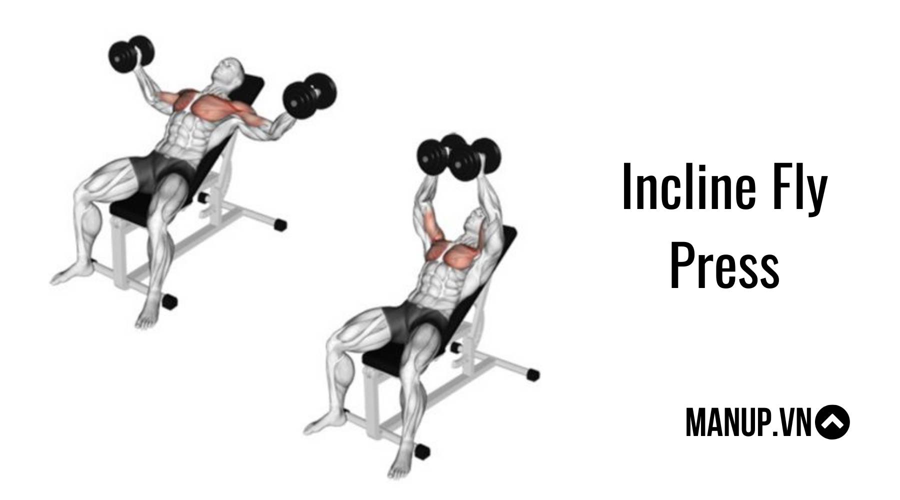 bài tập ngực với tạ đơn tại nhà