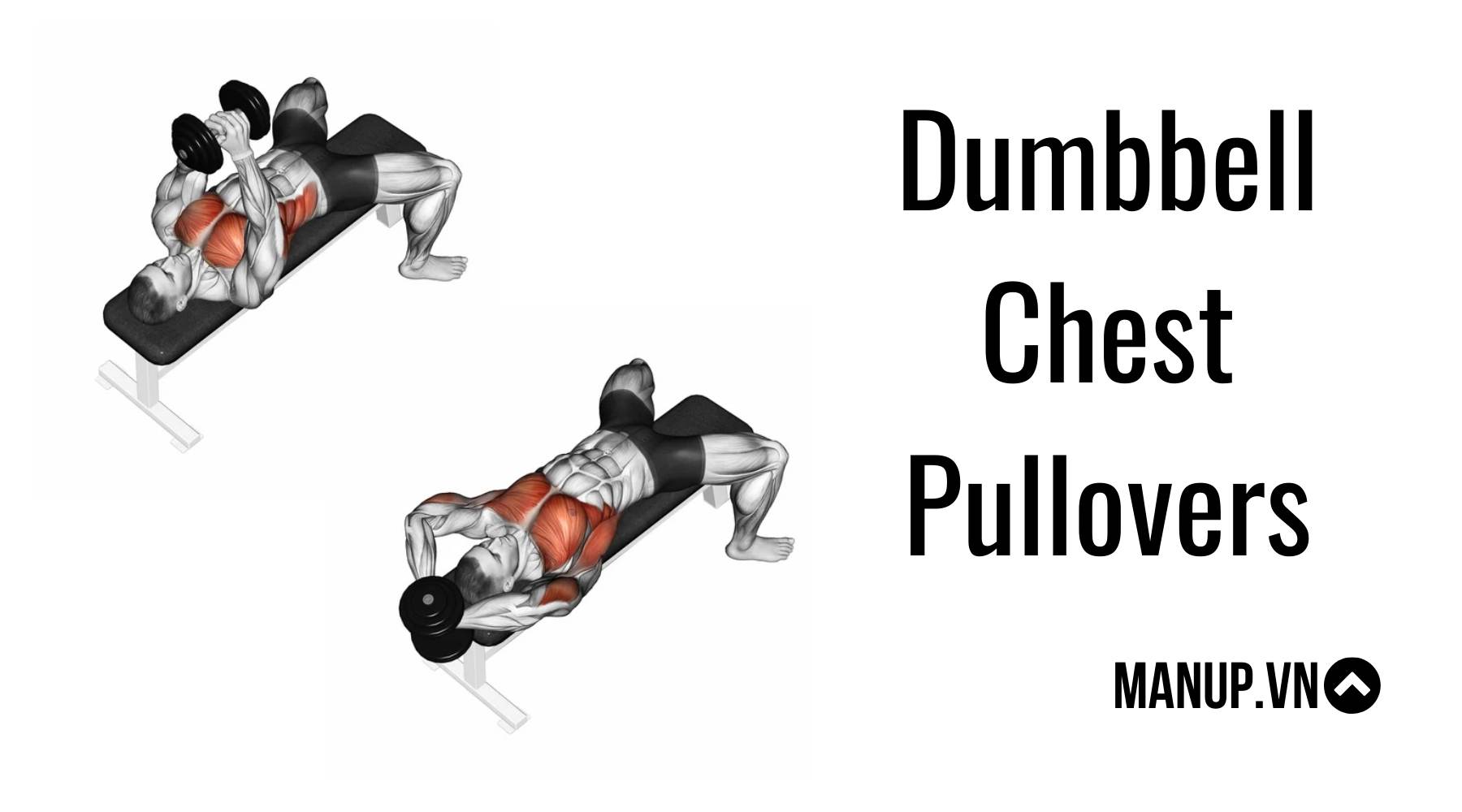 bài tập ngực với tạ đơn tại nhà