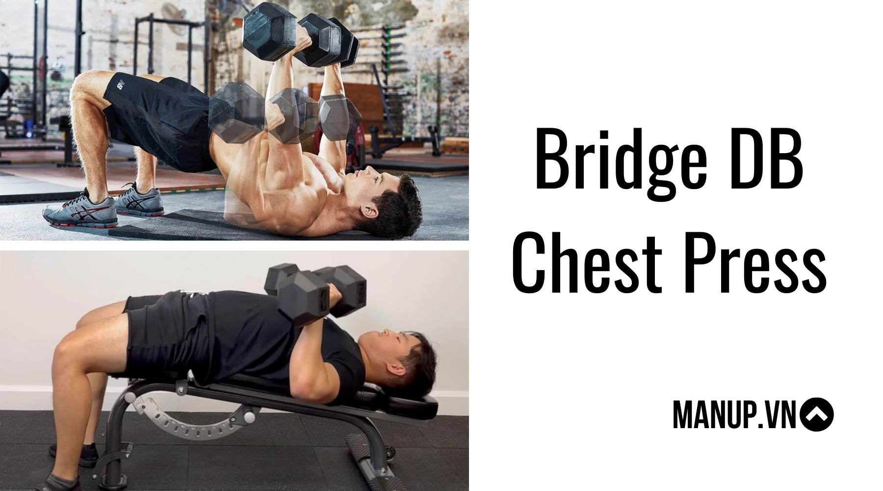 Bridge DB Chest Press