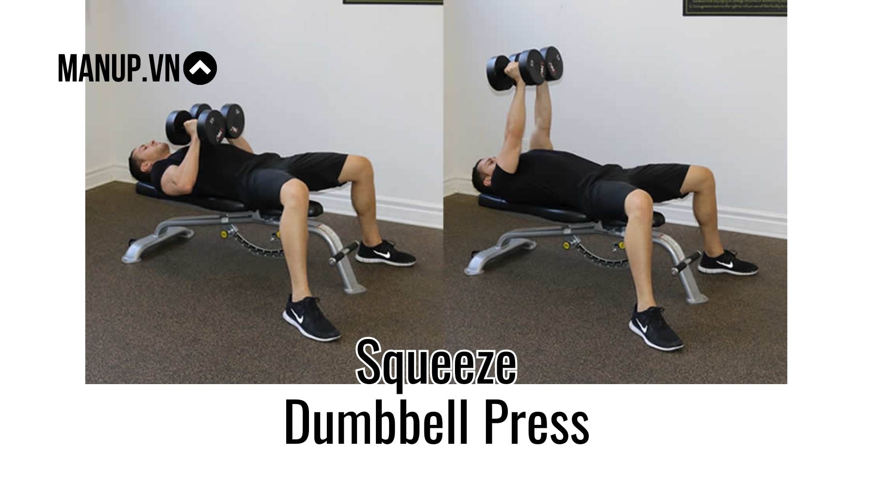 Bridge DB Chest Press