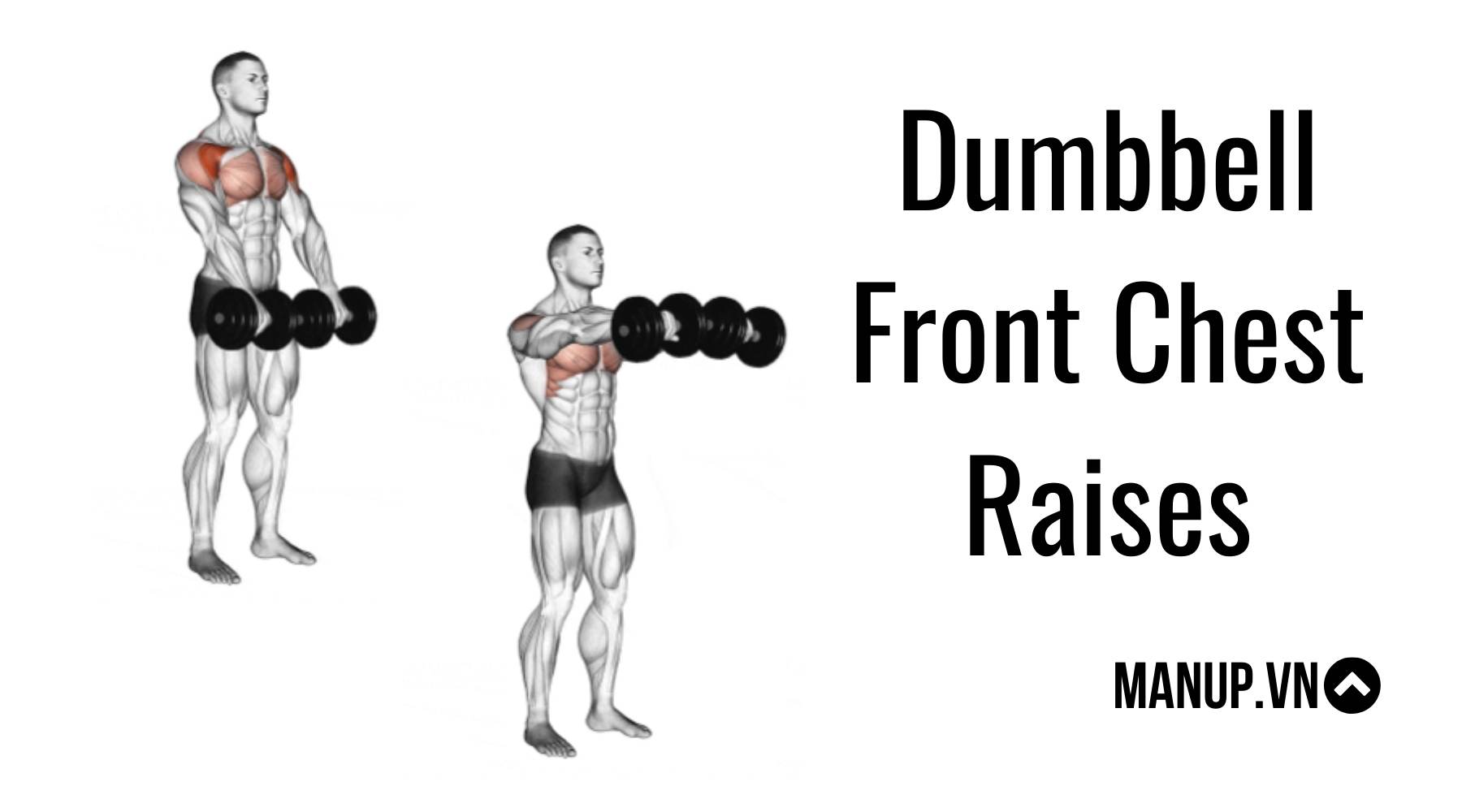 Dumbbell Front Chest Raises
