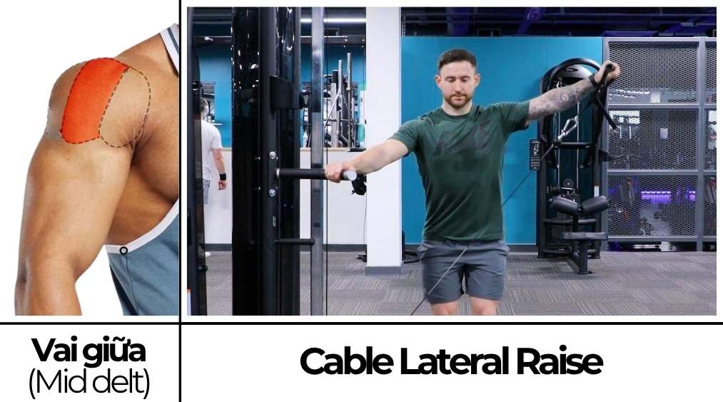 Cable Lateral Raise