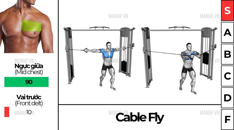 bài tập gym Cable Fly